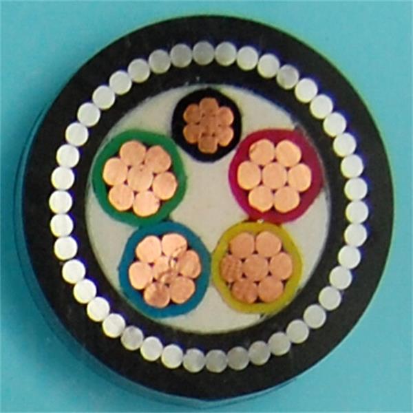 額定電壓0.6-1kV塑料絕緣電力電纜報(bào)價(jià)